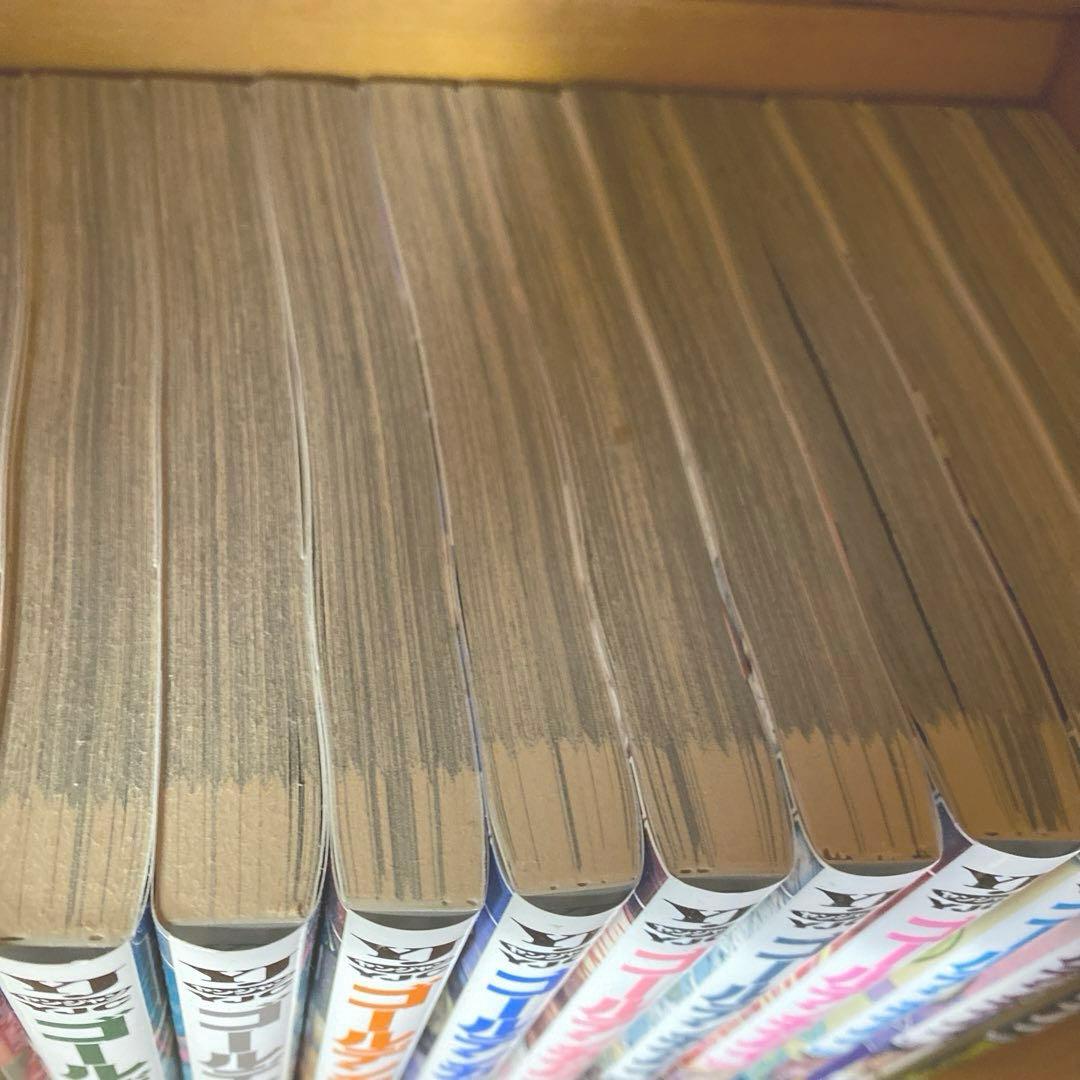 ゴールデンカムイ 全29巻＋公式ファンブック　セット