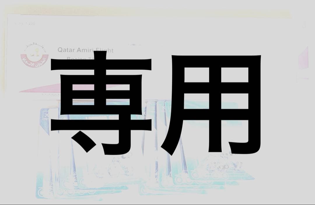 エレベスト機など