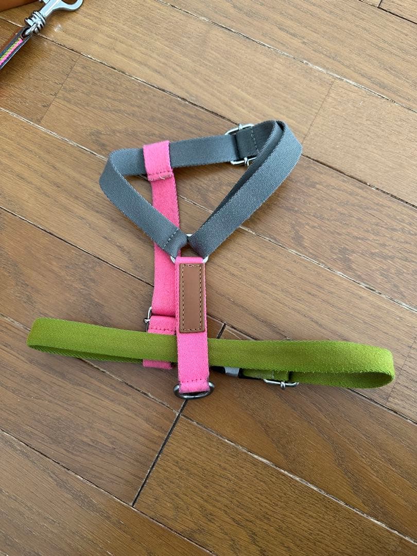 ZARA ペットコレクション　犬　リード　ハーネス