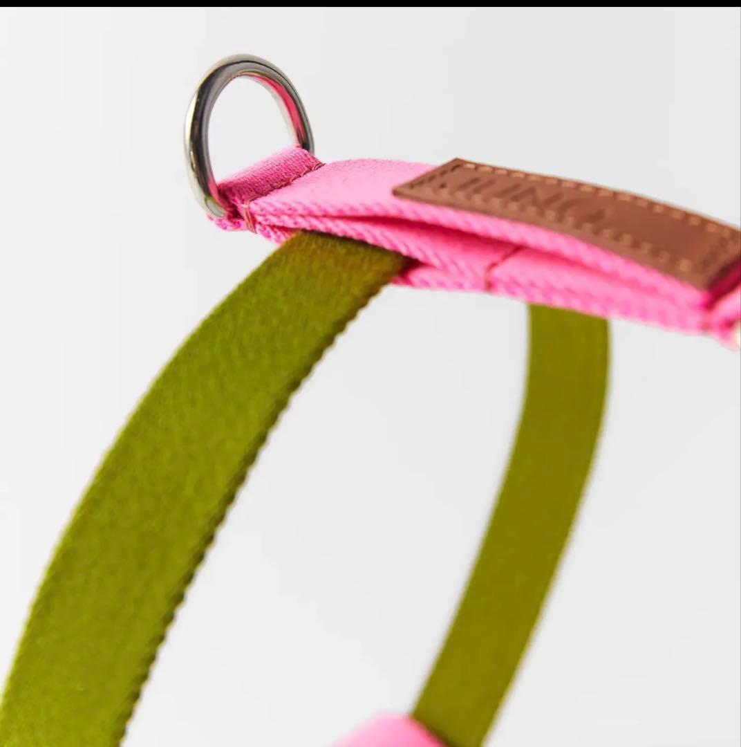 ZARA ペットコレクション　犬　リード　ハーネス