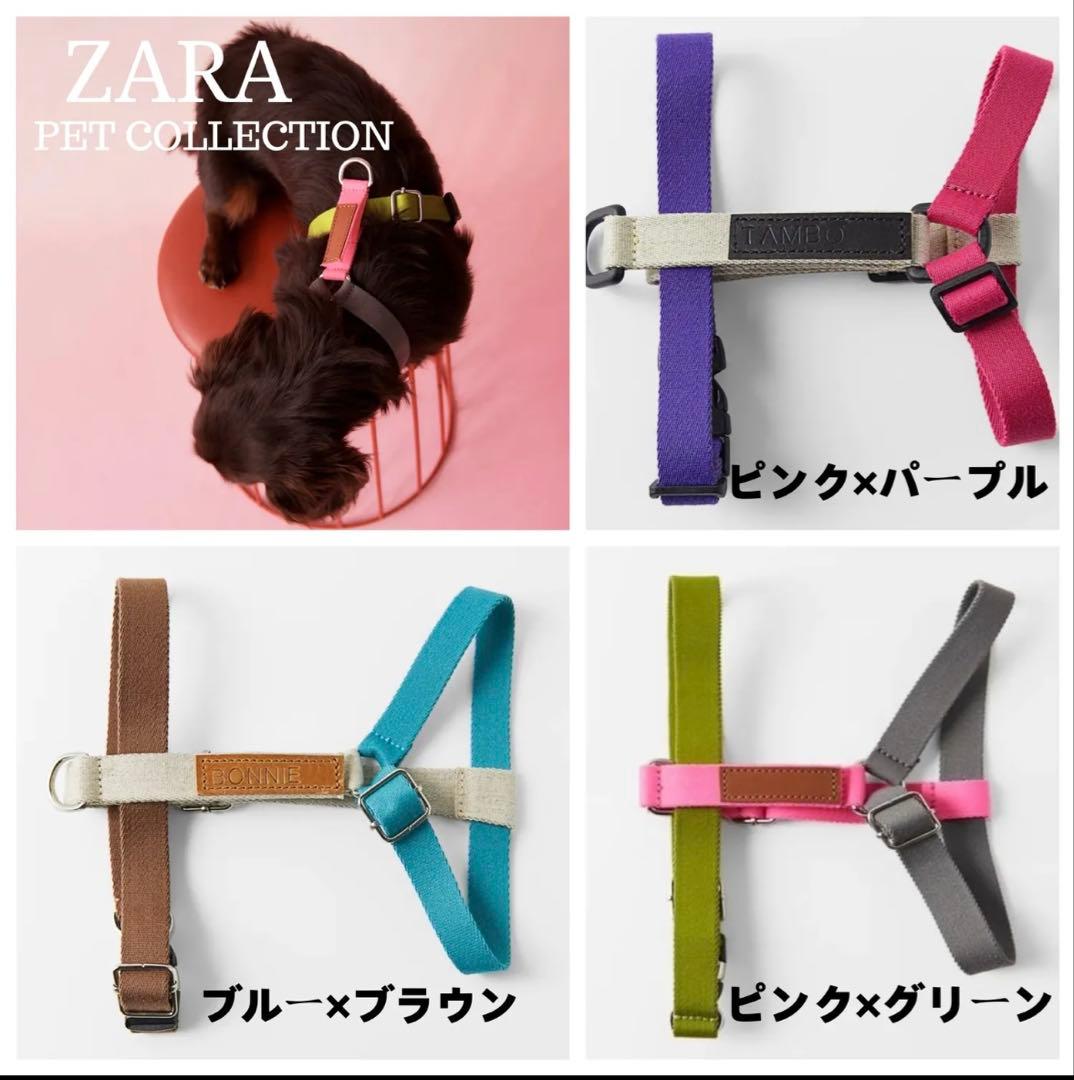 ZARA ペットコレクション　犬　リード　ハーネス