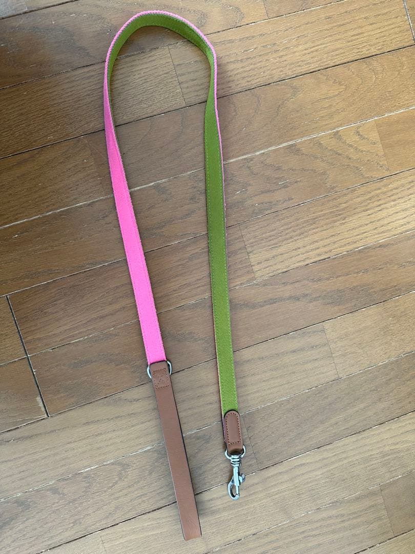 ZARA ペットコレクション　犬　リード　ハーネス