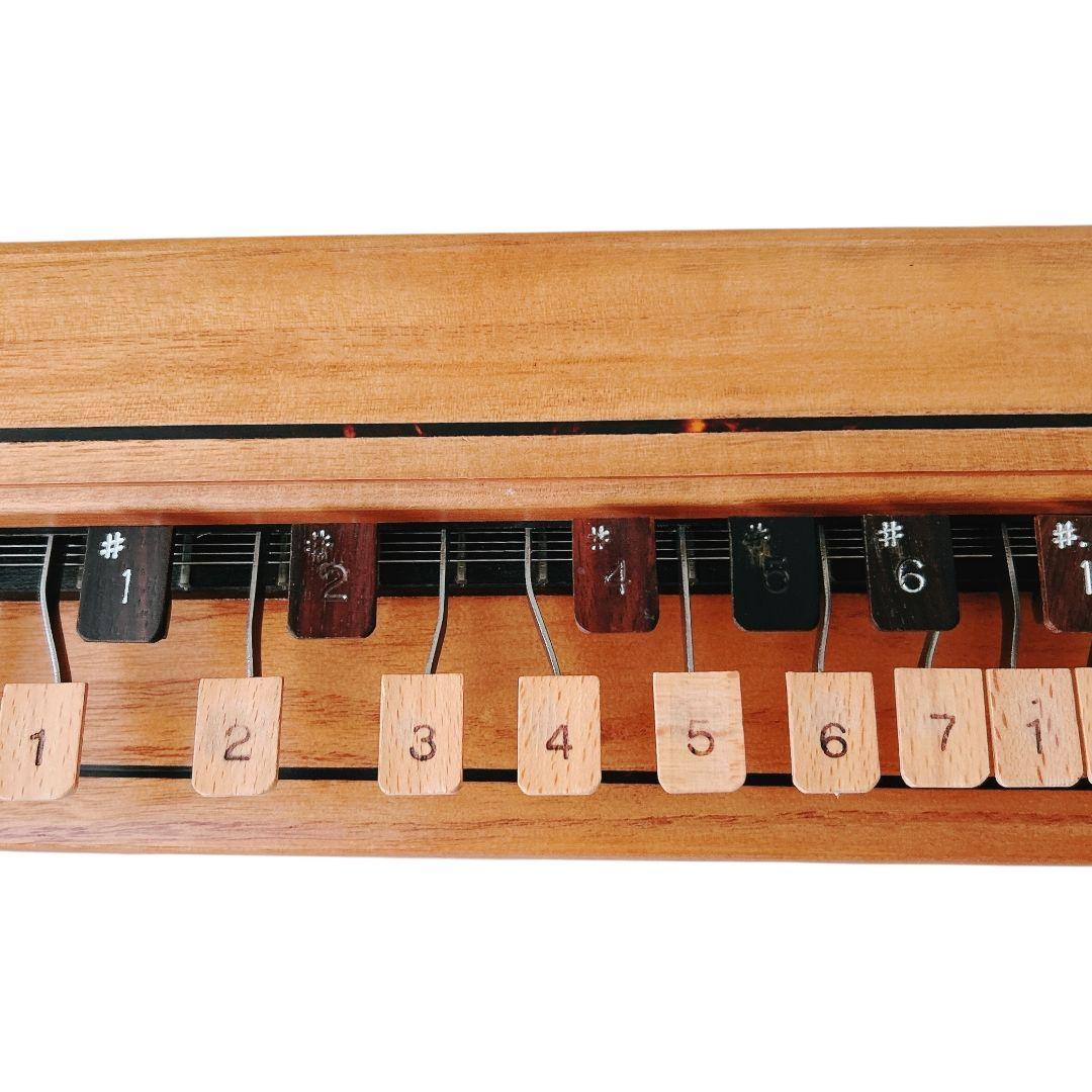 【逸品】 美品 木村流 高級 電気大正琴 ゆずりは 大正琴 ハードケース ケース