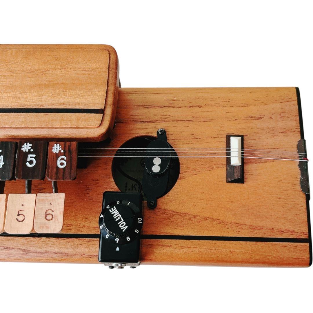 【逸品】 美品 木村流 高級 電気大正琴 ゆずりは 大正琴 ハードケース ケース