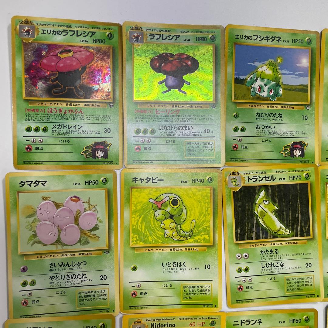 エリカのラフレシア　フシギダネ　ナゾノクサ　コンパン　クサイハナ　アーボック旧裏