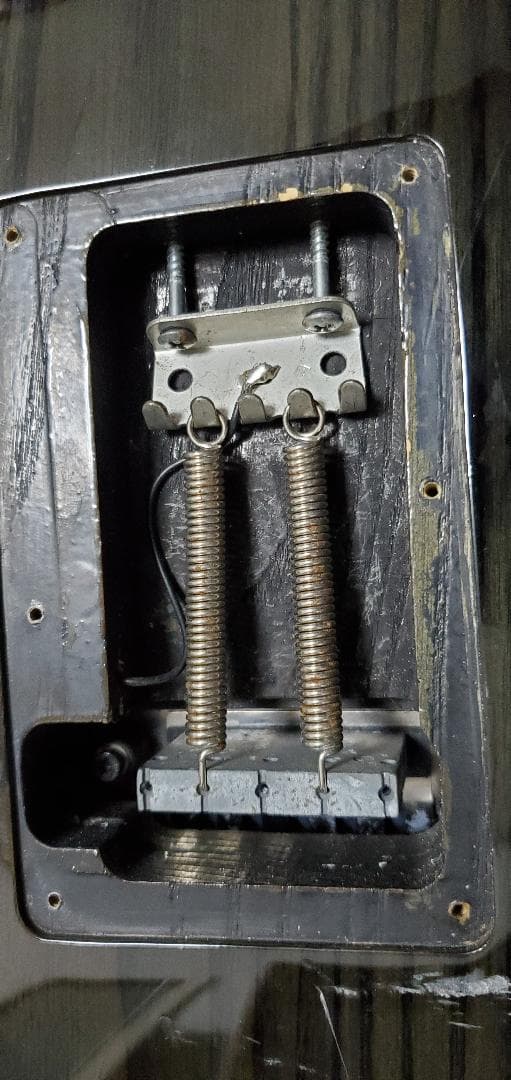 ※ジャンク　GrassRoots　フォレストギター　フロイドローズタイプ