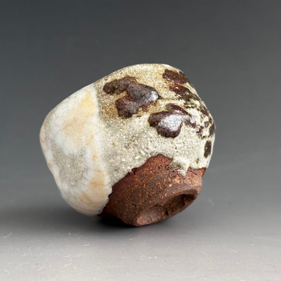 酒器　ぐい呑み　清水保孝　鉄絵　亀遊文　共箱　京焼　父：清水卯一　現代陶芸