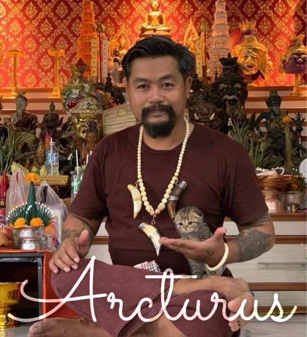 九尾の狐の天使 レディフォックス エンジェル プラクルアン　レア強力