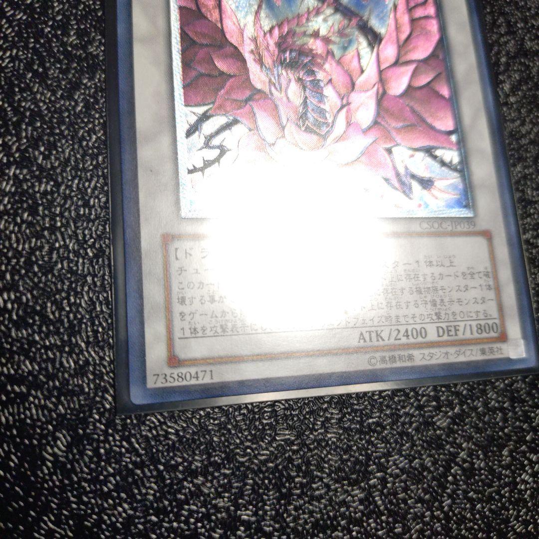 ブラック・ローズ・ドラゴン　レリーフ