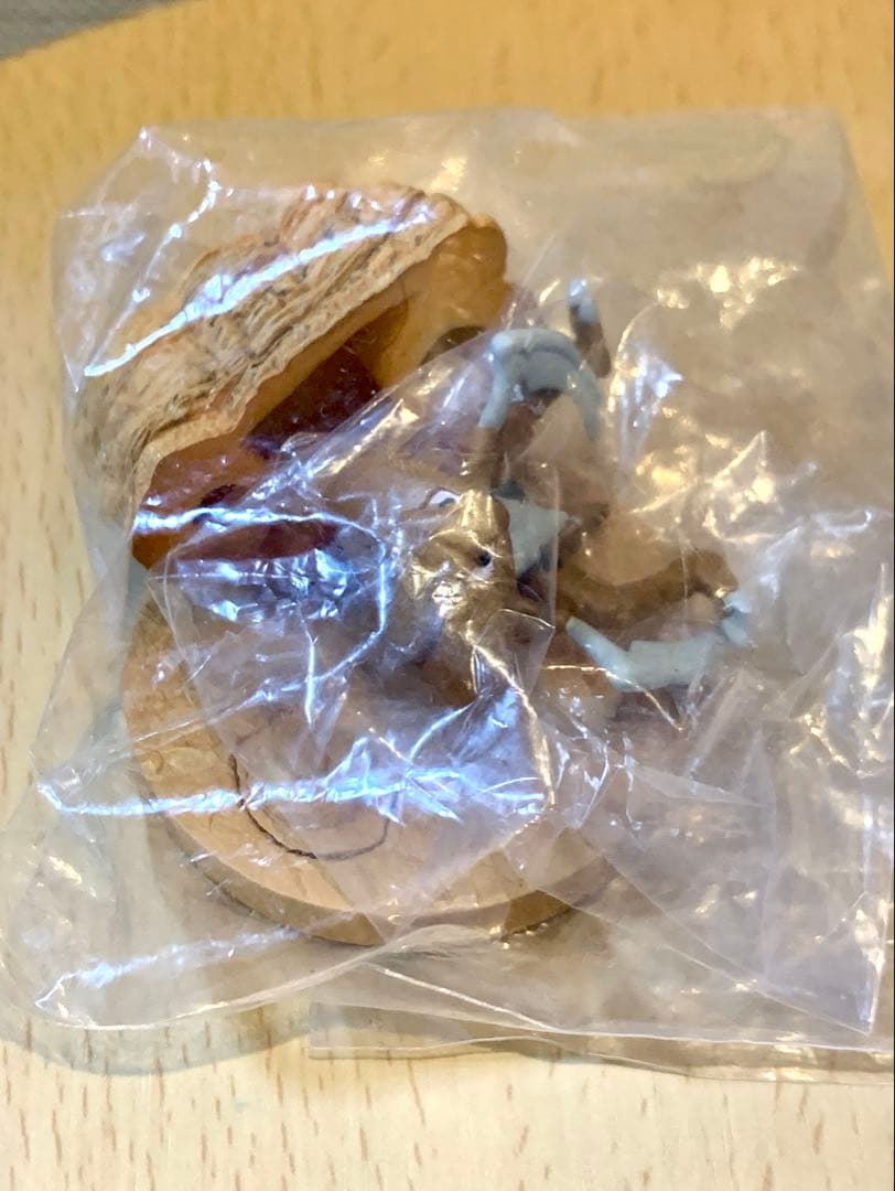 立体ポケモン図鑑　カブト　カブトプスフィギュア