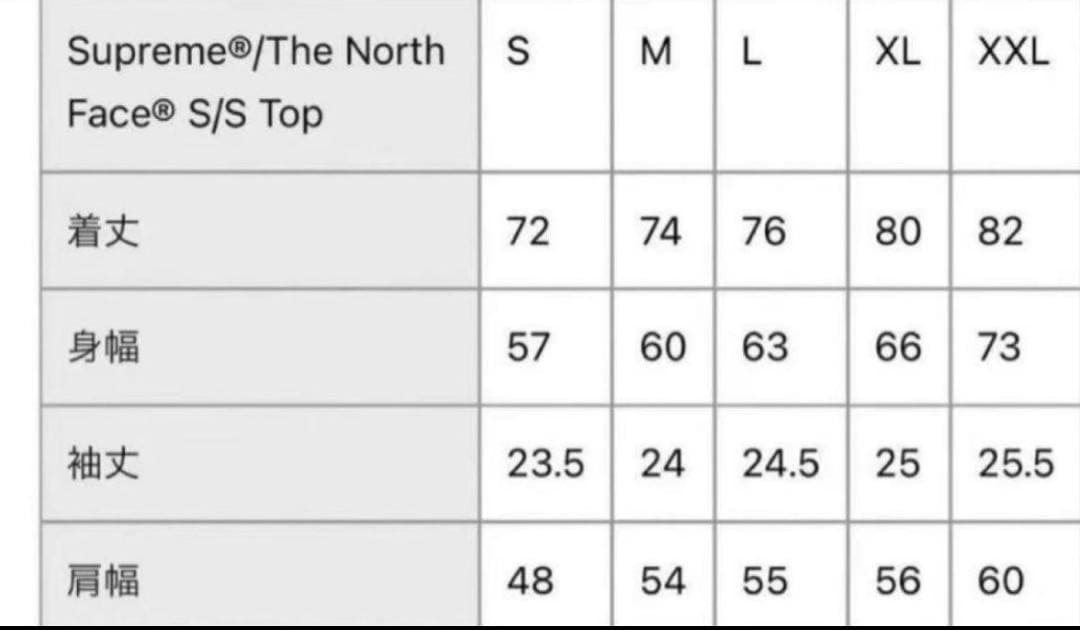 【新品未使用】Supreme SS24 THE NORTH FACE Tシャツ