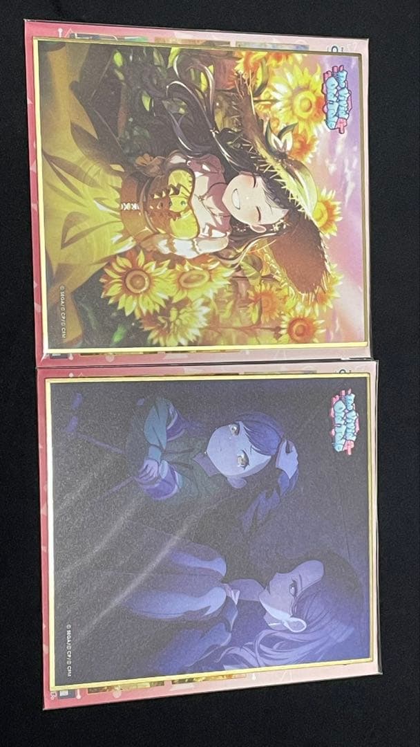 プロセカ 白石杏 色紙 ひまわり 24b