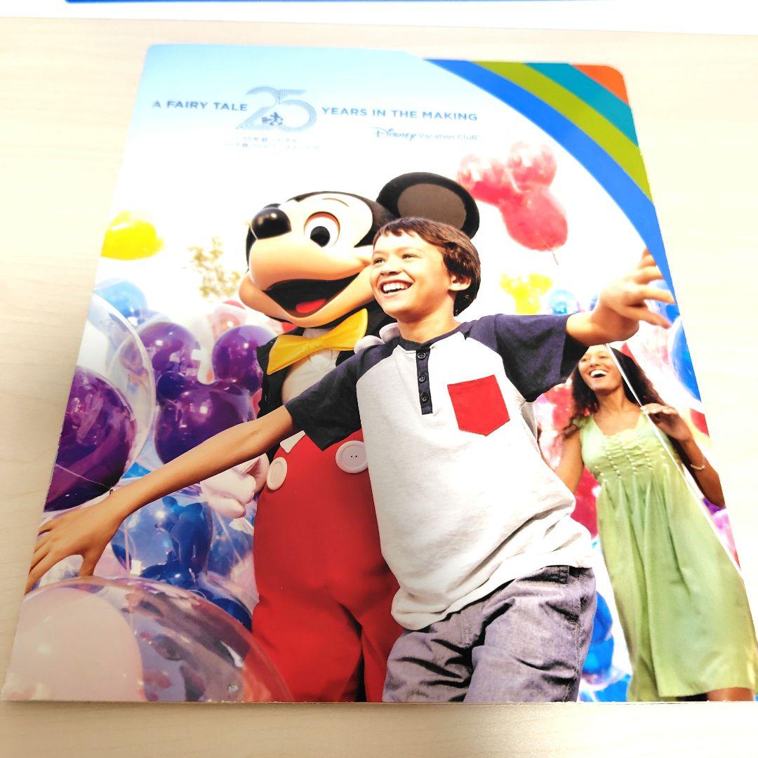 DVCリトグラフ＆25周年パンフ＆スティッチパンフ＆ステッカー＆ミッキーお箸