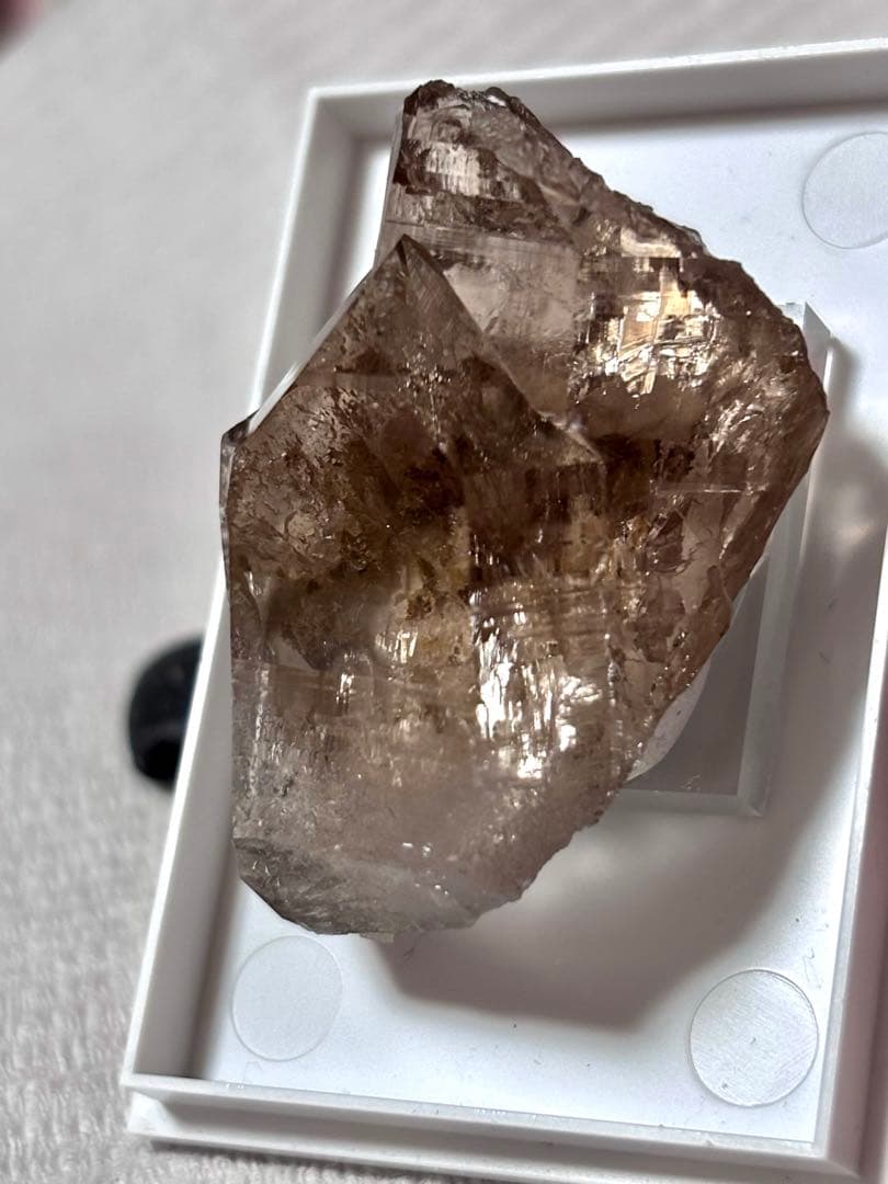 【超希少】アルプス水晶 スモーキークォーツ(スイス産) 煙水晶 鉱物標本