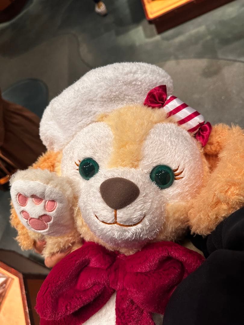 東京ディズニー　クッキーアン2023