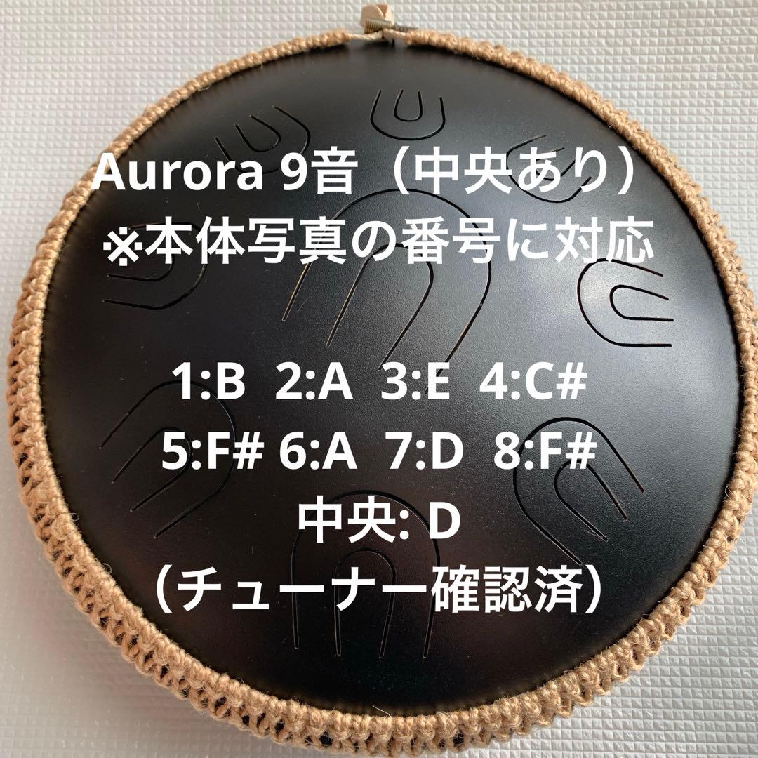グーダドラム　 両面 オーロラ/イークイノックス　専用バック・マレット付き