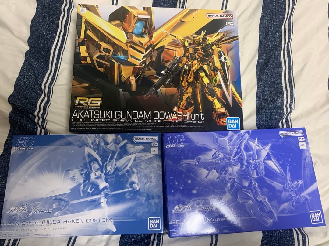 HG.RG ガンダムSEEDFREEDOM機体 合計15個セット　オマケ付き