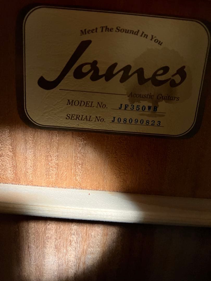 James ジェームス アコースティックギター 本体のみ 現状品