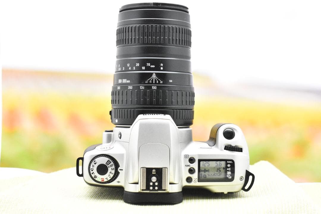 フィルムカメラ Canon EOS Kiss III + SIGMA 100-300mm