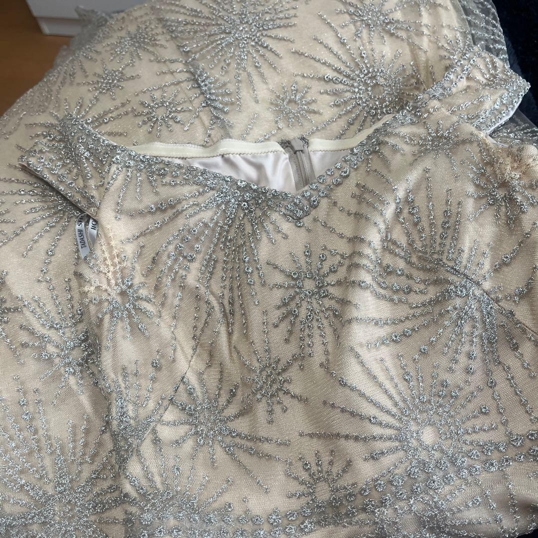 訳あり　タダシショージ　ロングドレス 00