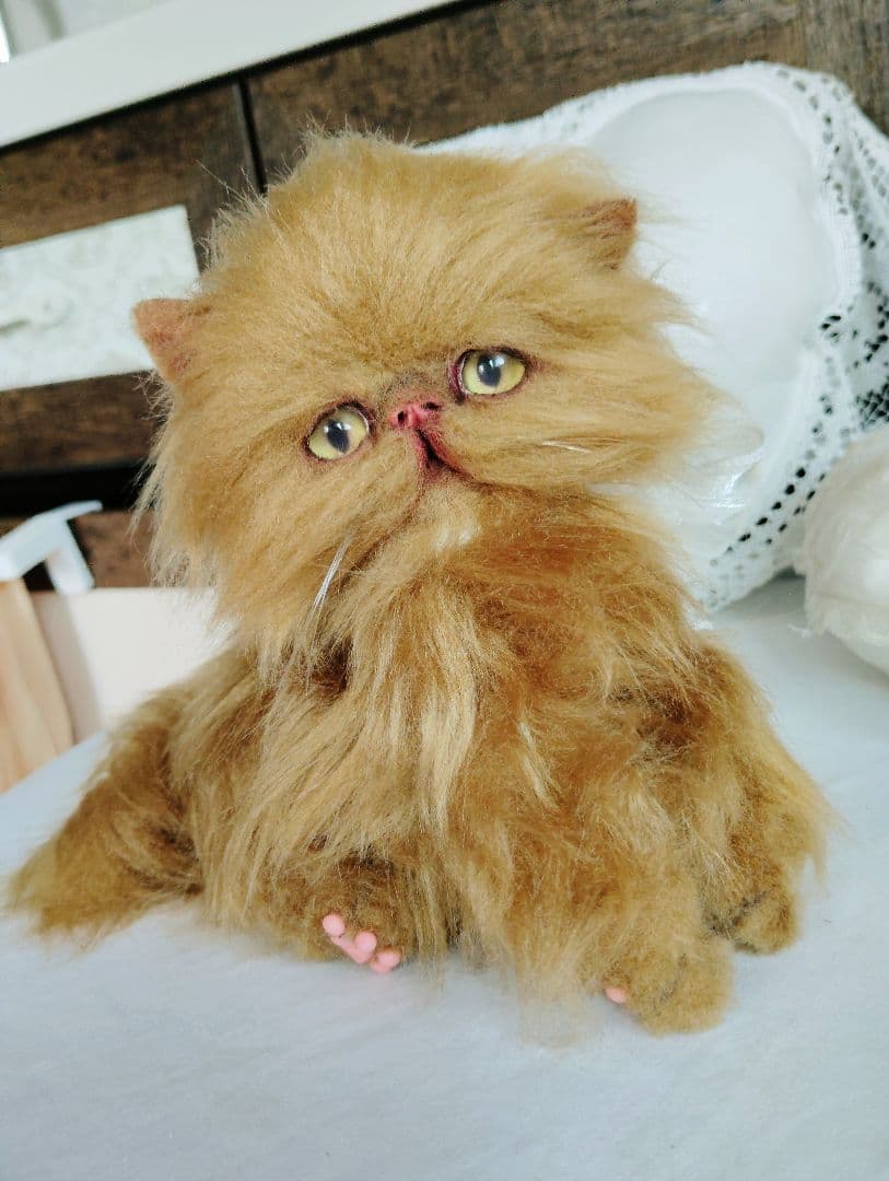 ちょっぴりお姉ちゃん♡エキゾチックロングヘア子猫ちゃん♡アートドール♡ぬいぐるみ