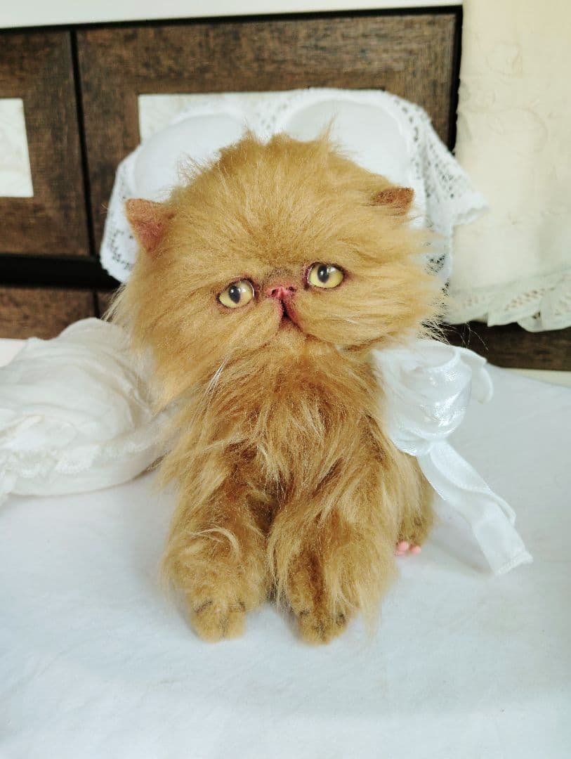 ちょっぴりお姉ちゃん♡エキゾチックロングヘア子猫ちゃん♡アートドール♡ぬいぐるみ