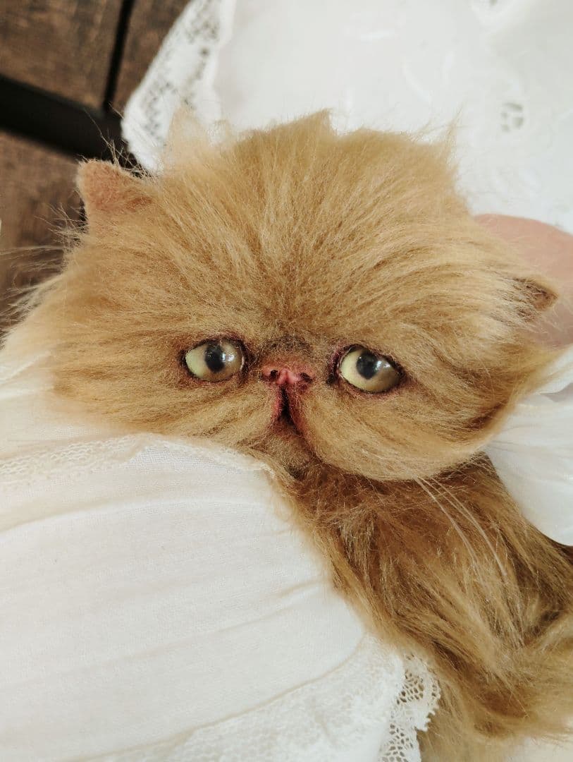 ちょっぴりお姉ちゃん♡エキゾチックロングヘア子猫ちゃん♡アートドール♡ぬいぐるみ