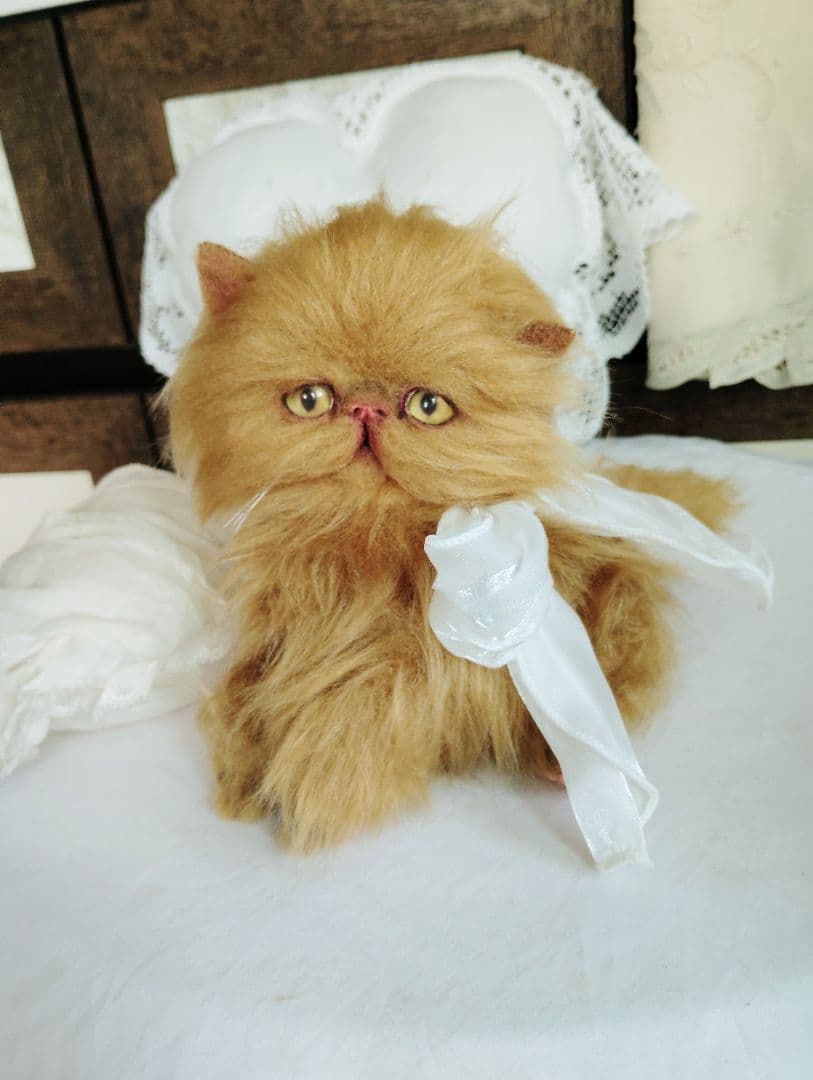 ちょっぴりお姉ちゃん♡エキゾチックロングヘア子猫ちゃん♡アートドール♡ぬいぐるみ