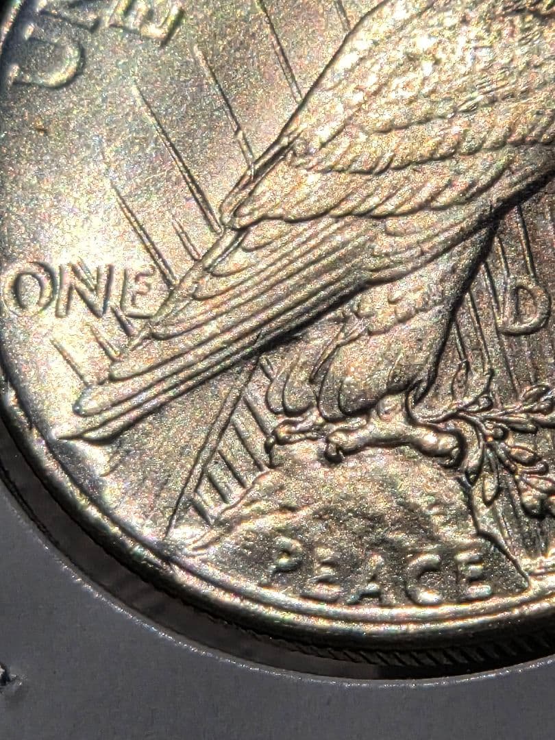 アメリカ合衆国　ピースダラー(1ドル)銀貨　1925