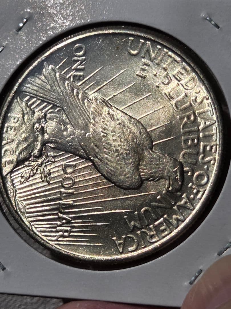 アメリカ合衆国　ピースダラー(1ドル)銀貨　1925