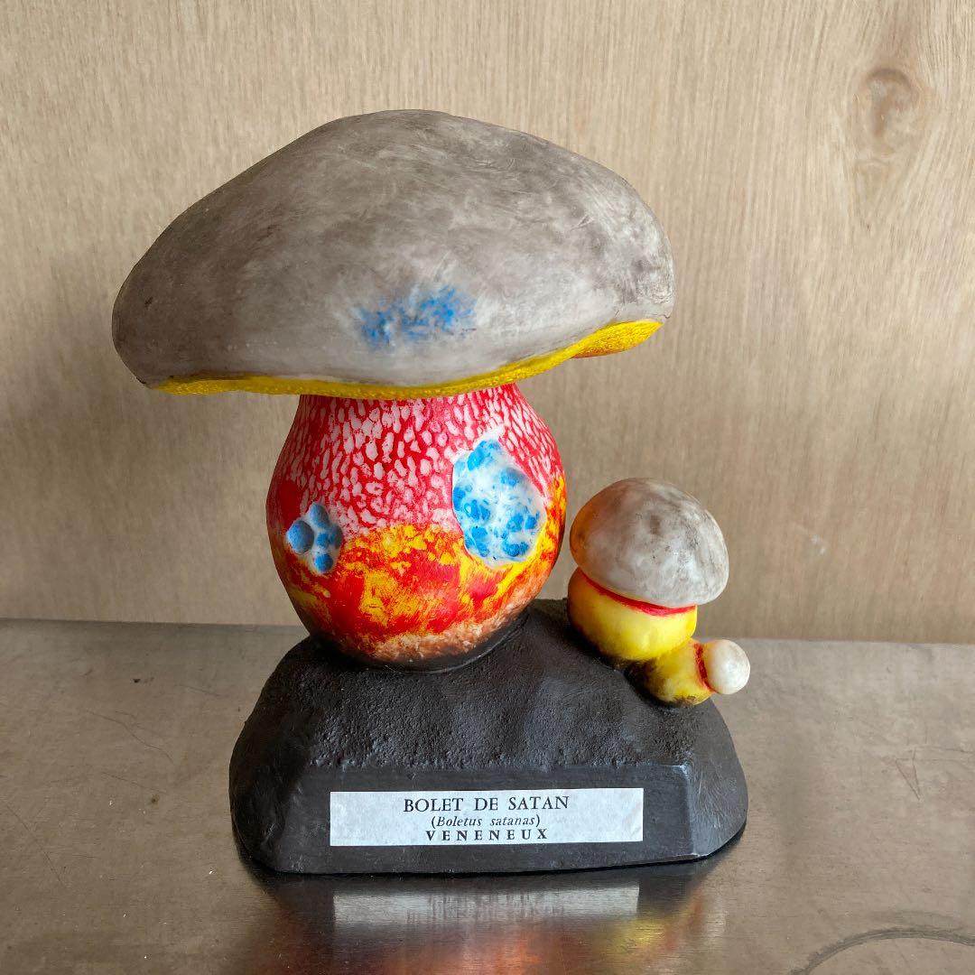 フランス　ビンテージ　毒キノコ模型　アンティーク　理科系