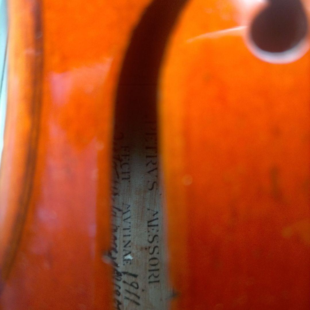 赤褐色 ビオラ本体