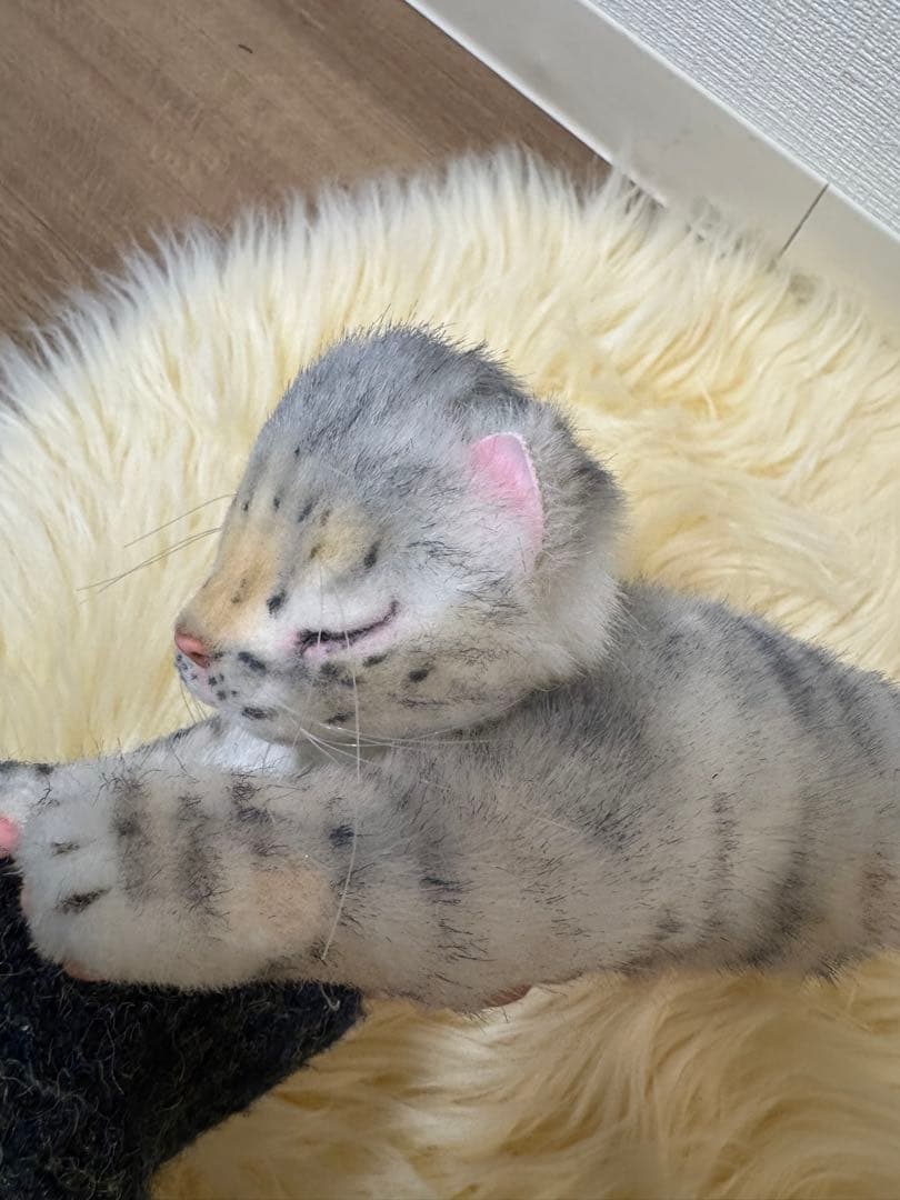 海外作家様作　アートドール　ネコの赤ちゃん