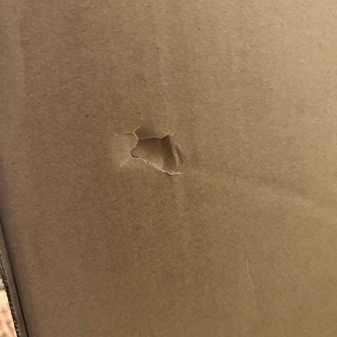 新品未開封MEGA  MOLLY 1000%モネ