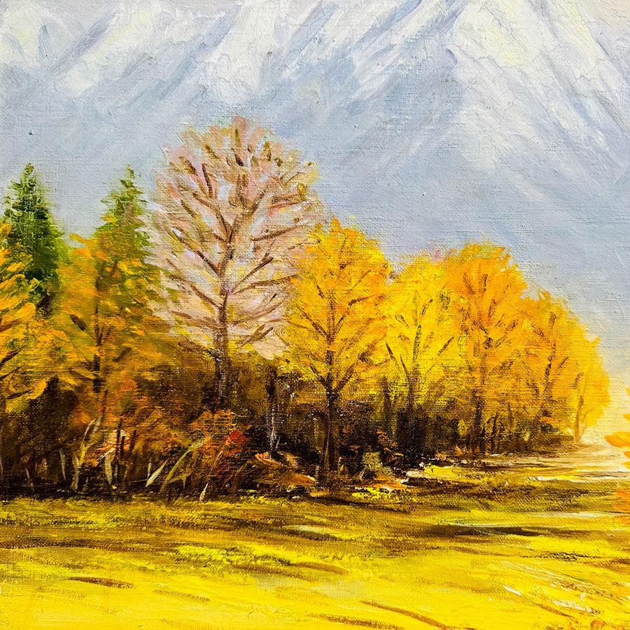 Funaya 画 油絵 F10号 額装油絵絵画 自然風景画 額縦61*横68cm