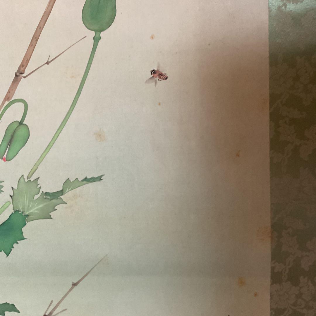 梅 荘 作 絹本 彩色 密画 《 芥子の花図 》 共箱 軸先鹿軸