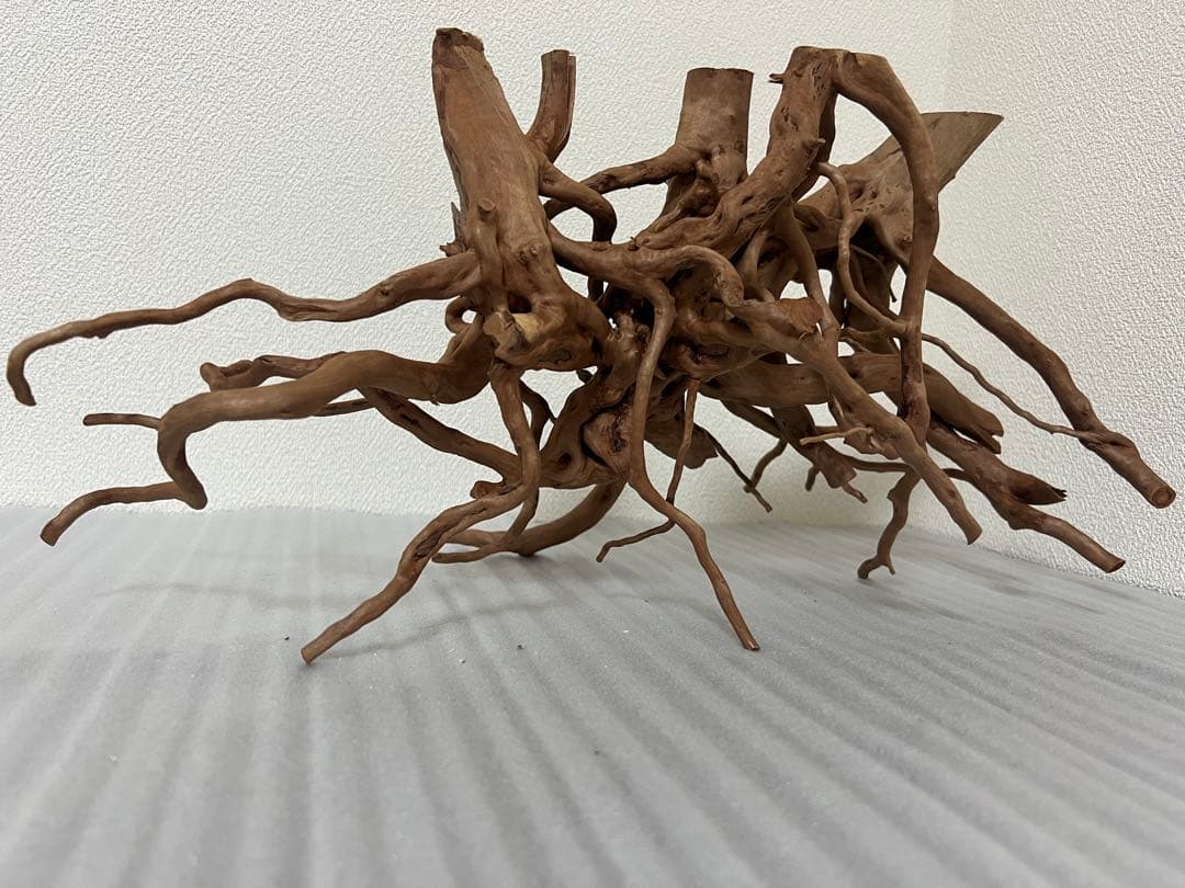32701 ブランチウッド　流木　アクアリウム