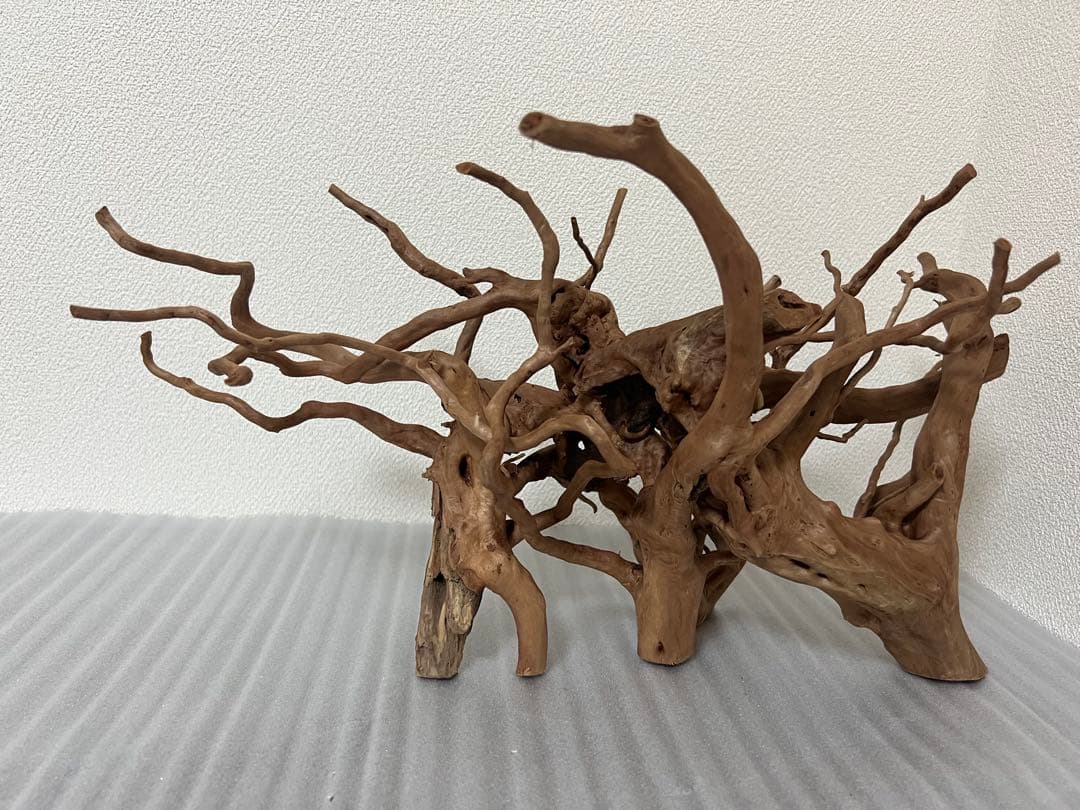 32701 ブランチウッド　流木　アクアリウム