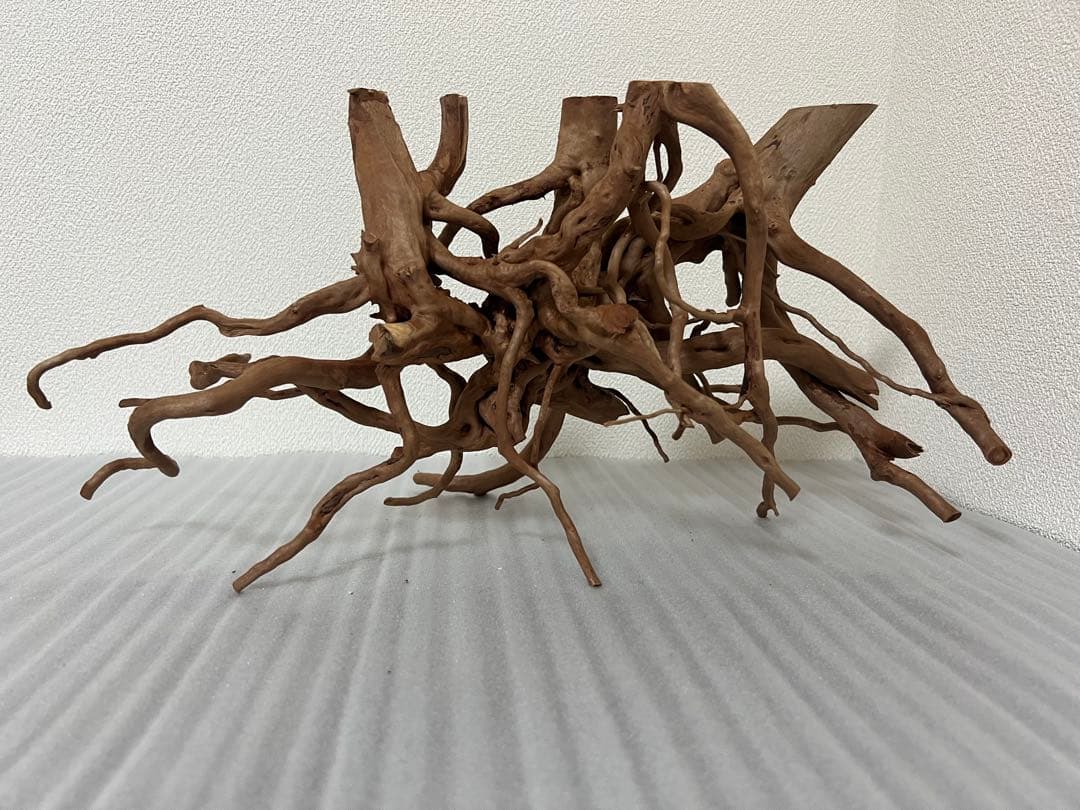 32701 ブランチウッド　流木　アクアリウム