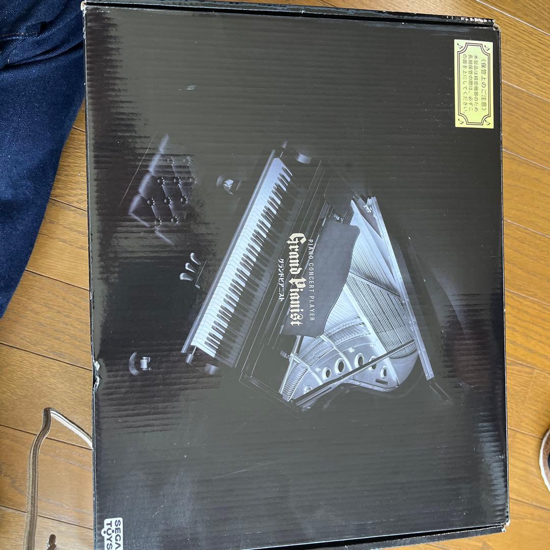 Grand Pianist ピアノコンサートプレイヤー