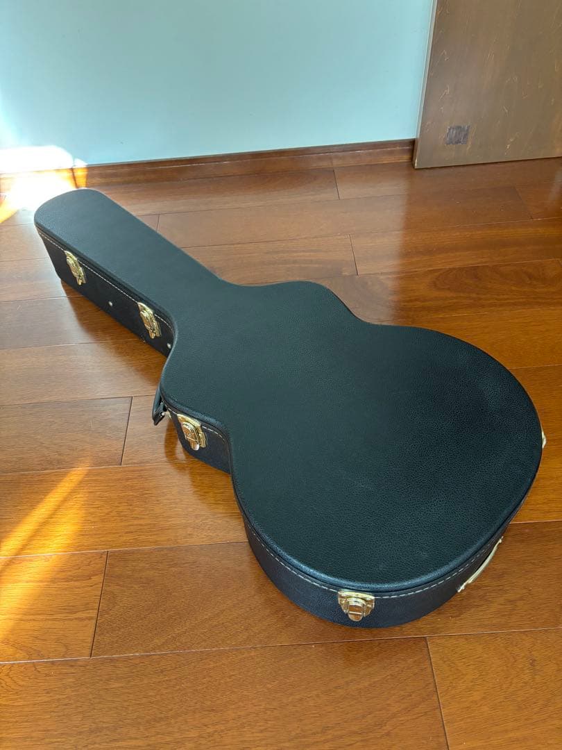 ギター Archtop Tribute AT101