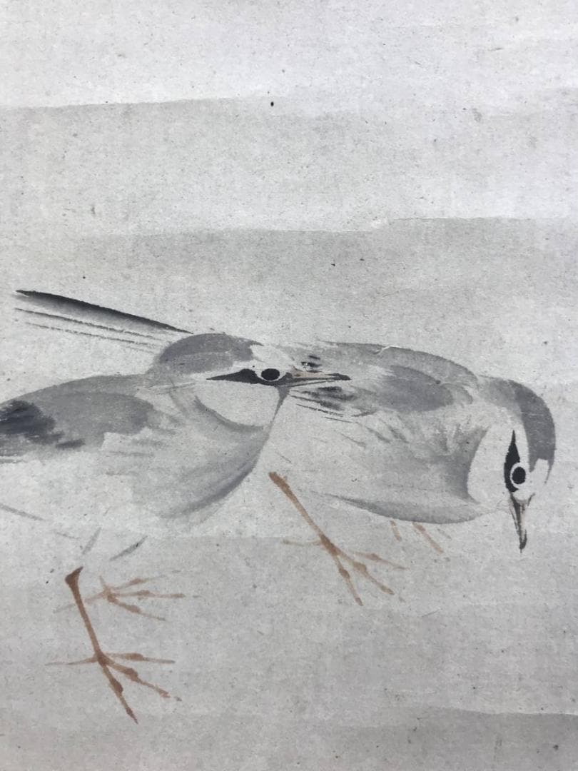 真作/中島来章/江浦草にセキレイ図/鶺鴒/花鳥図/掛軸/名家伝来/AE-215