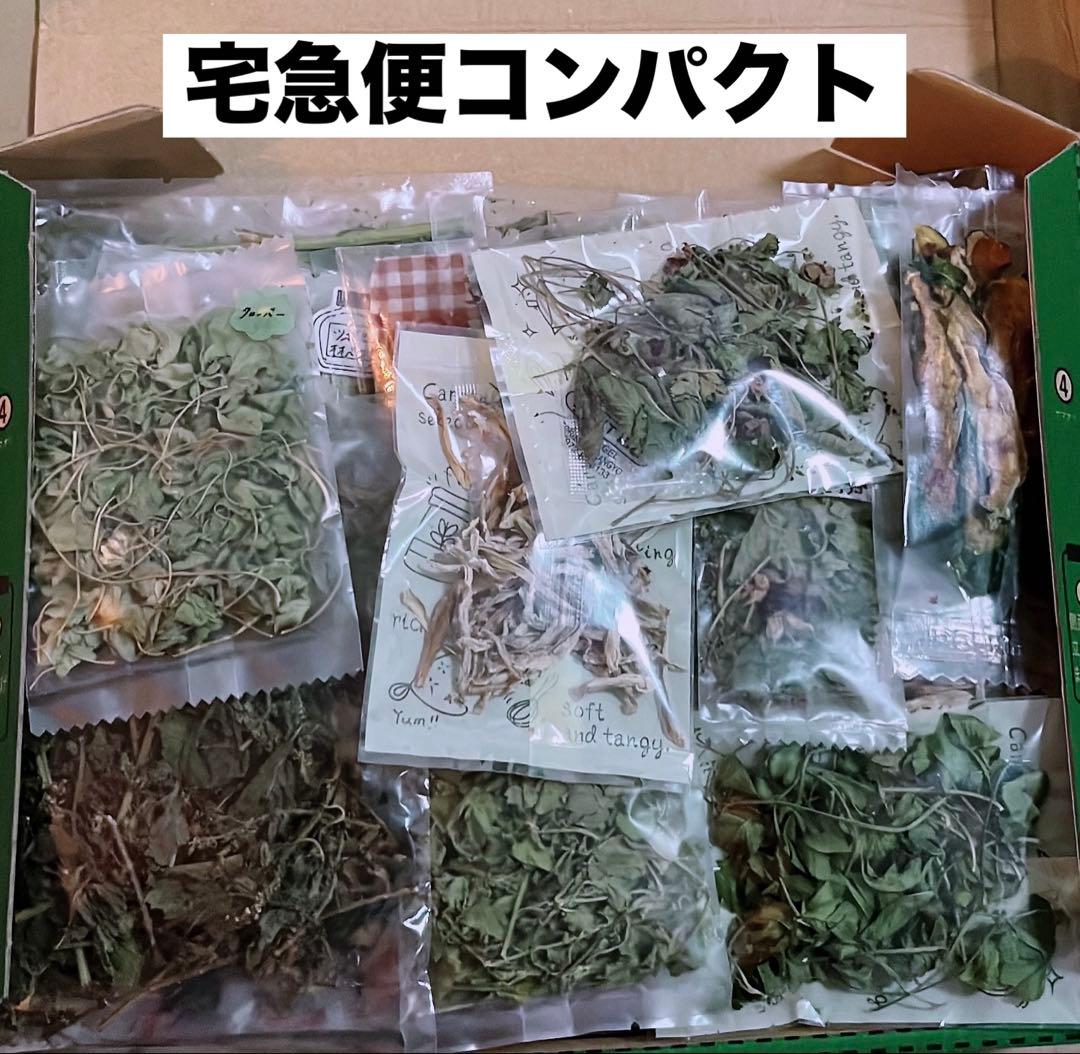 【ヴィズゥちゃん専用　7種類　BOX】