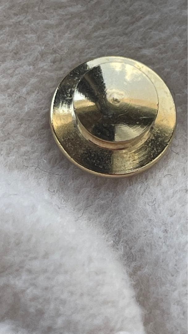 パスクワレブルーニ　K１８・エナメル　ピンブローチ　ネクタイピン　テントウムシ