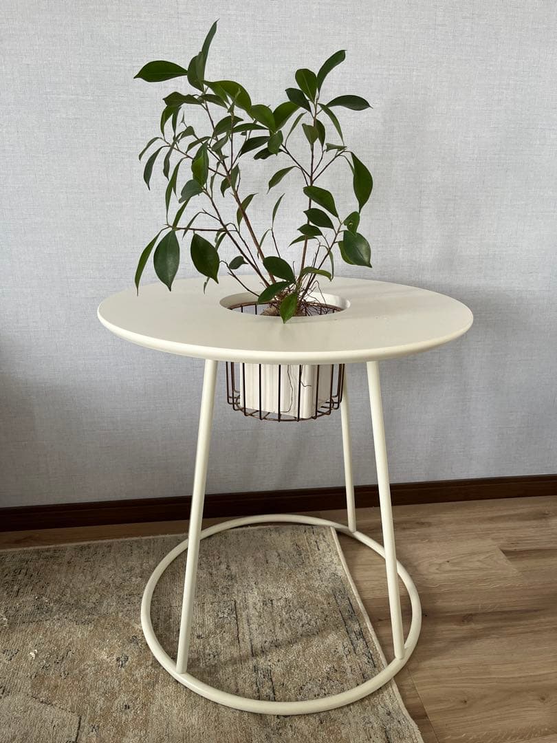 【値下げ中】KANADEMONO 「暮らし」×「グリーン」　サイドテーブル白