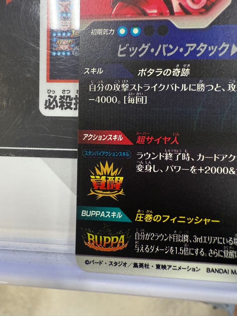 ダイバーズ SDV7-19 ベジットパラレル