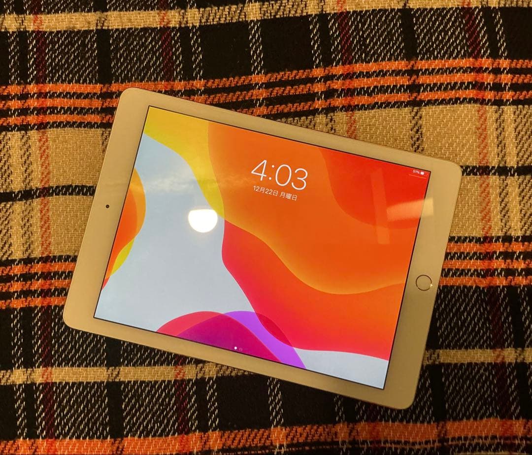 美品 iPad Pro A1673 本体 256GB 9.7インチ WiFi