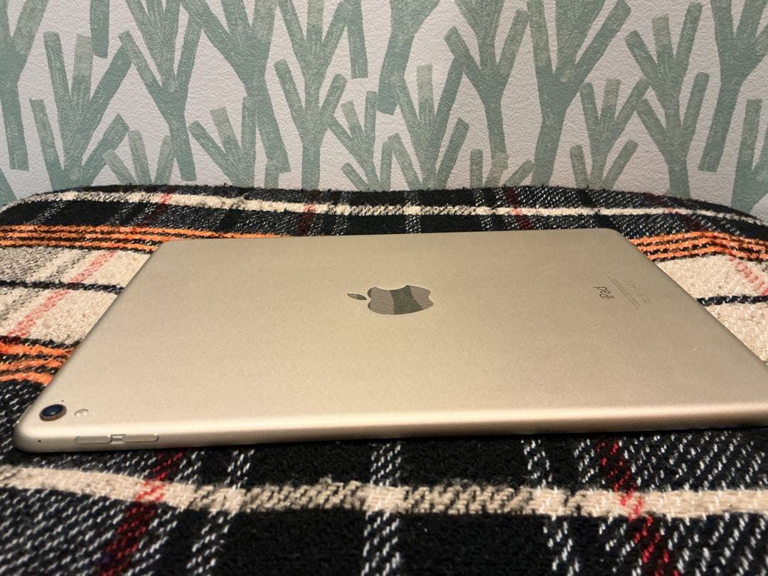 美品 iPad Pro A1673 本体 256GB 9.7インチ WiFi