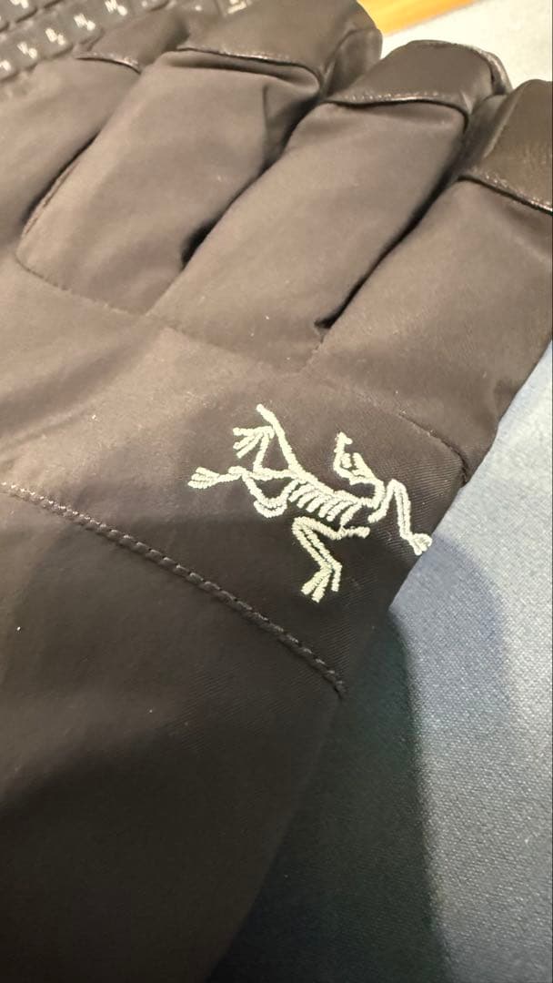 ARC’TERYX Fission Glove アークテリクス グローブ