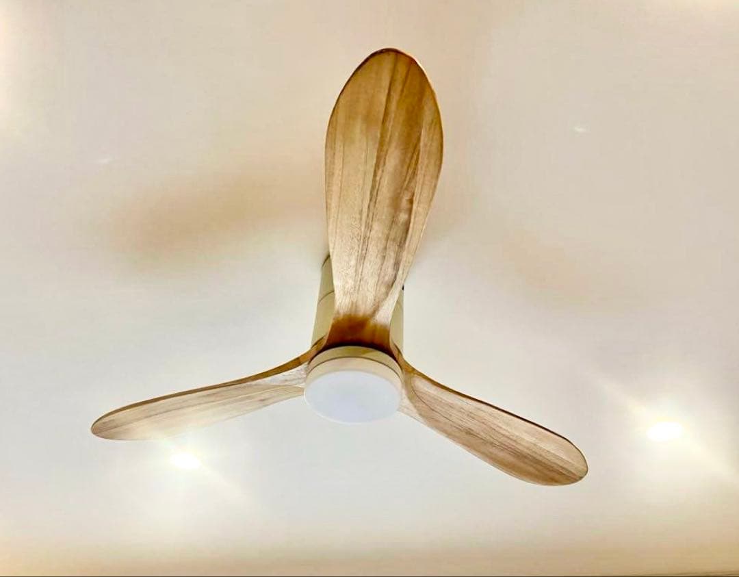 JAVAIOELF シーリングファン ライト LED リモコン付き